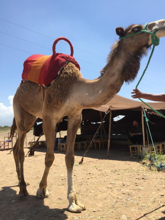 Riad Le Marrakech Berrima Marrakesh Eksteriør bilde